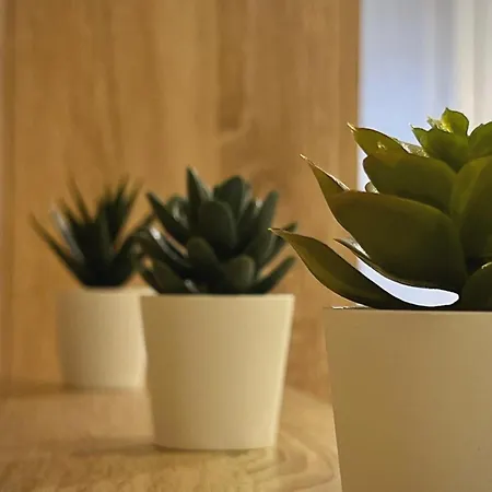 Lejlighed Blue Et Rose By Aroom Vut-le-966