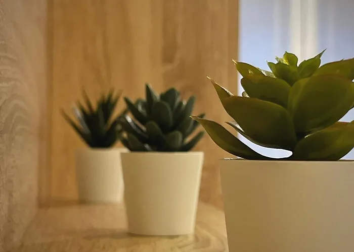 아파트 Blue Et Rose By Aroom Vut-le-966